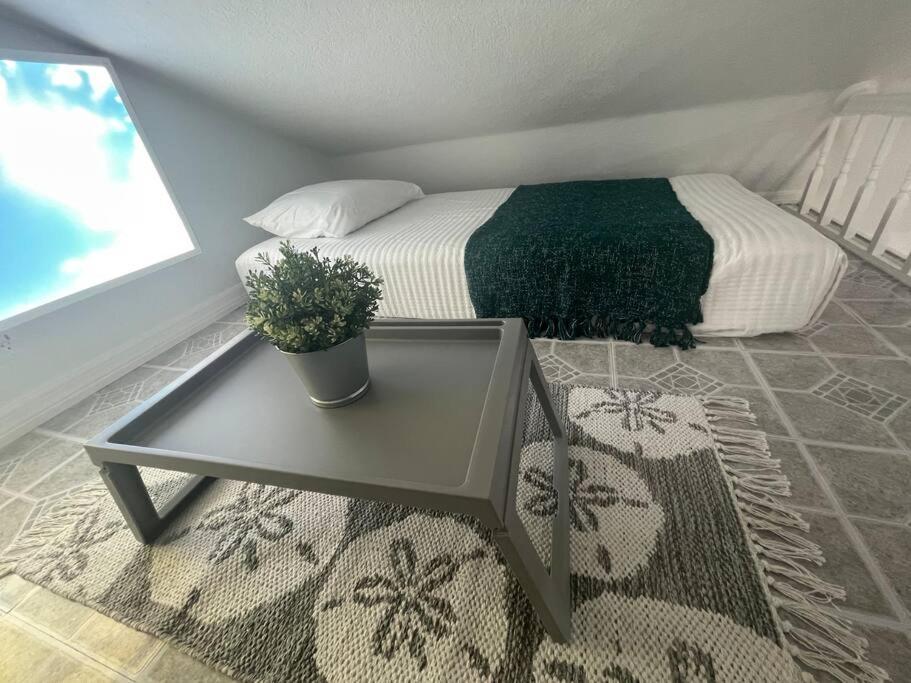The Tiny Cottage In The Springs/ Central Fl アルタモンテ・スプリングス エクステリア 写真