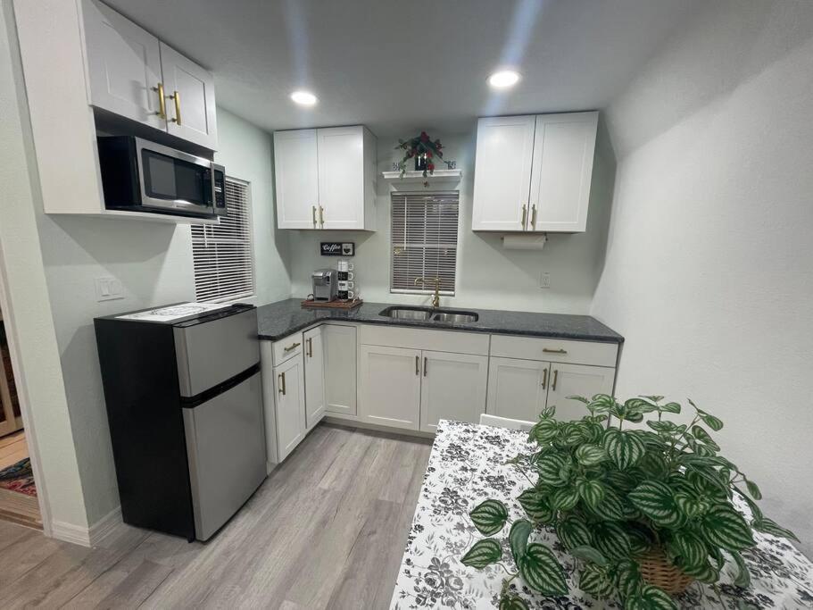 The Tiny Cottage In The Springs/ Central Fl アルタモンテ・スプリングス エクステリア 写真