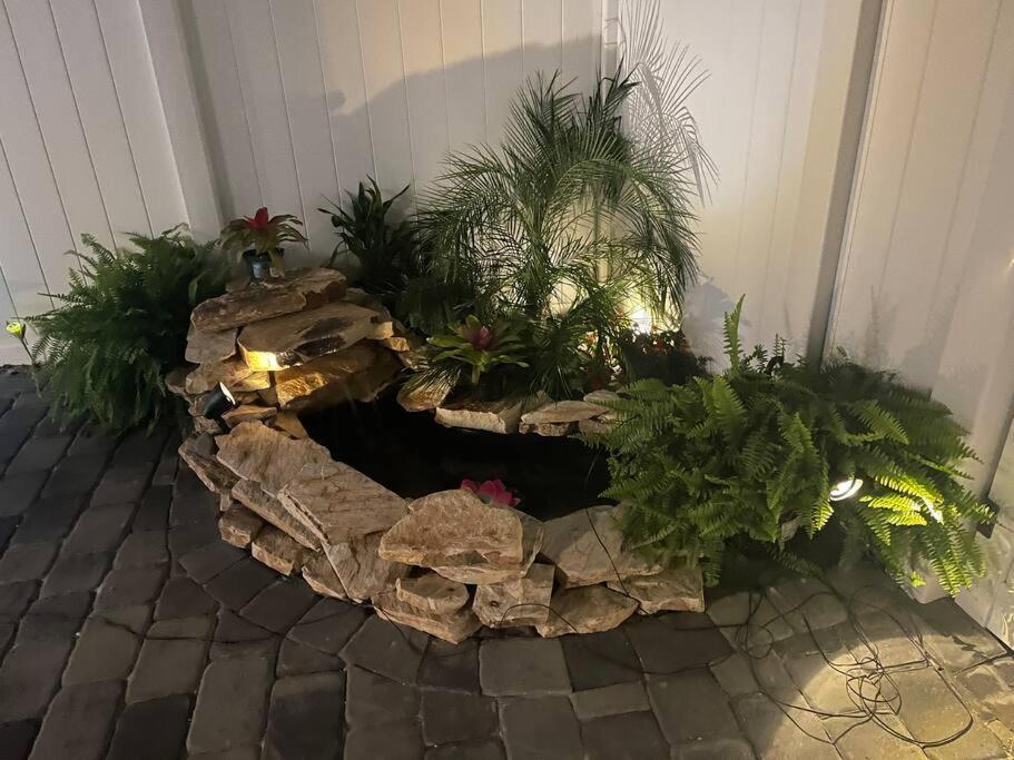 The Tiny Cottage In The Springs/ Central Fl アルタモンテ・スプリングス エクステリア 写真
